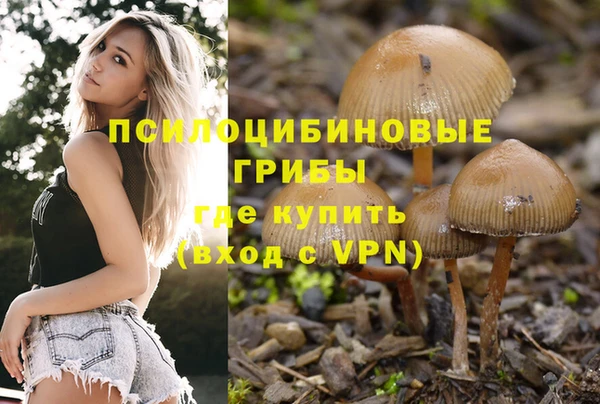 экстази Баксан