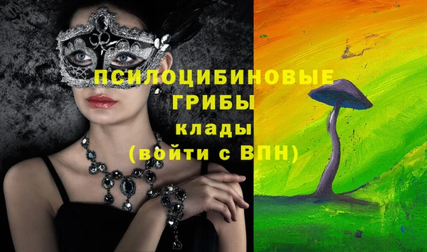 гидропоника Белоозёрский