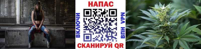 МАРИХУАНА сатива  Купить  Сертолово 